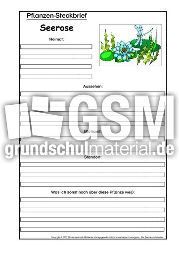 Pflanzensteckbrief-Seerose.pdf